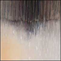 Barbara Pierzgalska - Jesień