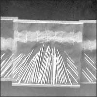 Barbara Pierzgalska - Bez tytułu