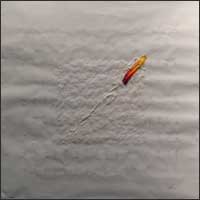 Barbara Pierzgalska - Bez tytułu