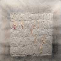 Barbara Pierzgalska - Bez tytułu