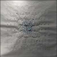 Barbara Pierzgalska - Bez tytułu