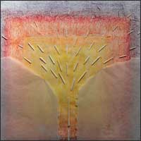 Barbara Pierzgalska - Bez tytułu