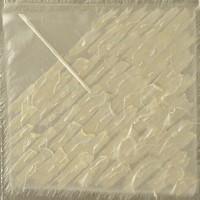 Barbara Pierzgalska - Miniantura – Najważniejszy