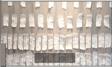 Barbara Pierzgalska - Galeria